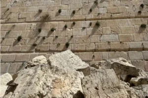 La Alta Corte de Justicia ordena acelerar la construcción de un recinto para no-ortodoxos junto al Muro de los Lamentos