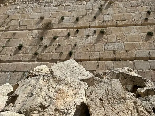 Piedras que lloran: huellas arqueológicas de los Templos destruidos 4 Piedras que lloran: huellas arqueológicas de los Templos destruidos