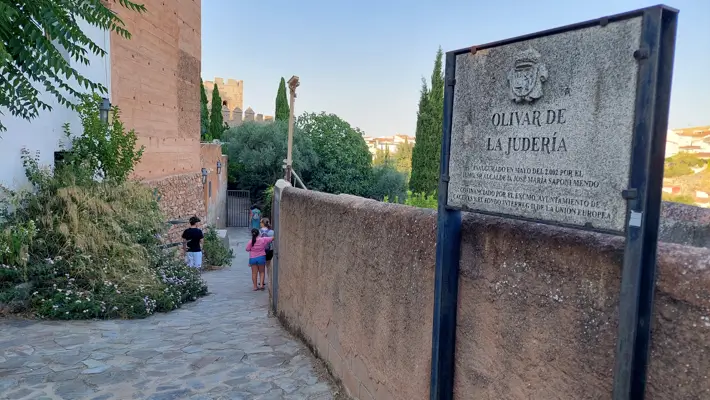 El Olivar de la Juderia caceres