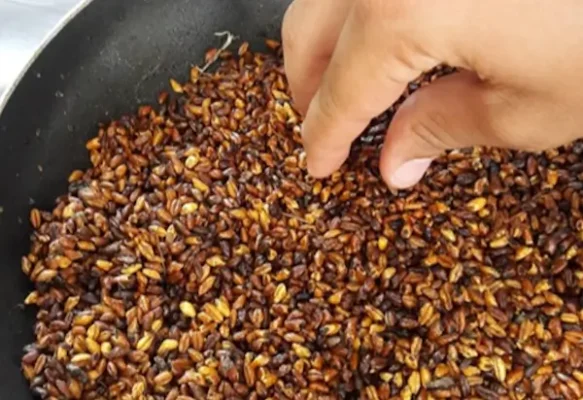 "Kali" – La comida del rey David