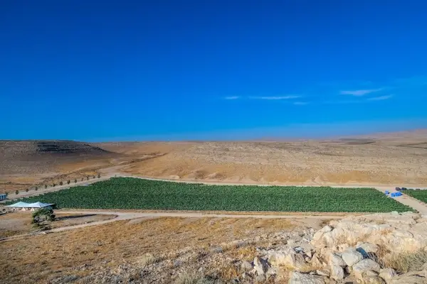Negev Vinos 3 1