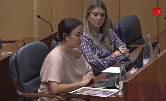 La Comisión de Juventud de la Comunidad de Madrid analizó el auge del antisemitismo 1 PP