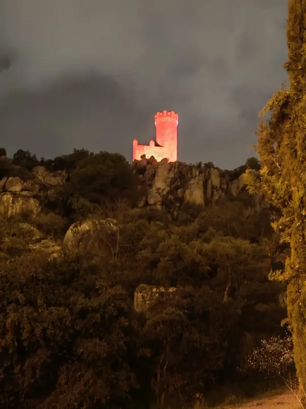 Madrid y Torrelodones homenajean a la familia Bibas, asesinada en Gaza 1 Torre de los Lodones Torrelodones Homenaje a los Bibas 1 21.2.25
