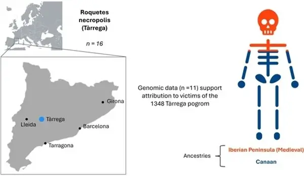 Un estudio reconstruye por primera vez la historia genética de una comunidad judía medieval de Cataluña 1 UAB Genetica 1