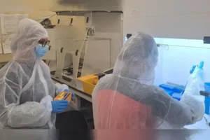 Un estudio reconstruye por primera vez la historia genética de una comunidad judía medieval de Cataluña