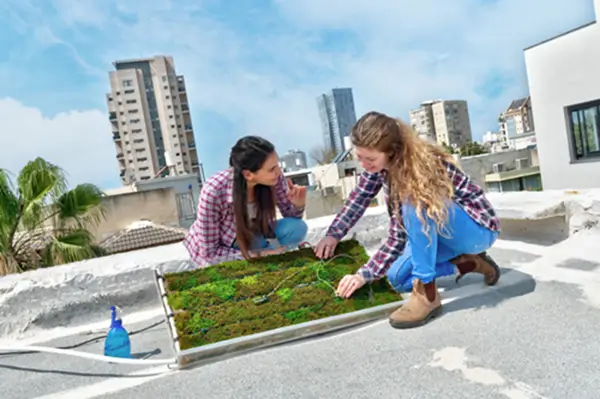 La Universidad de Tel Aviv: conocimiento e innovación en el corazón de Israel