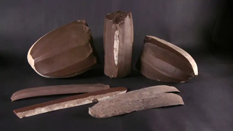 Descubren en Israel un taller de cuchillas de sílex de hace 5.000 años 1 diversos nucleos de silex junto a cuchillas del mismo material ya terminadas